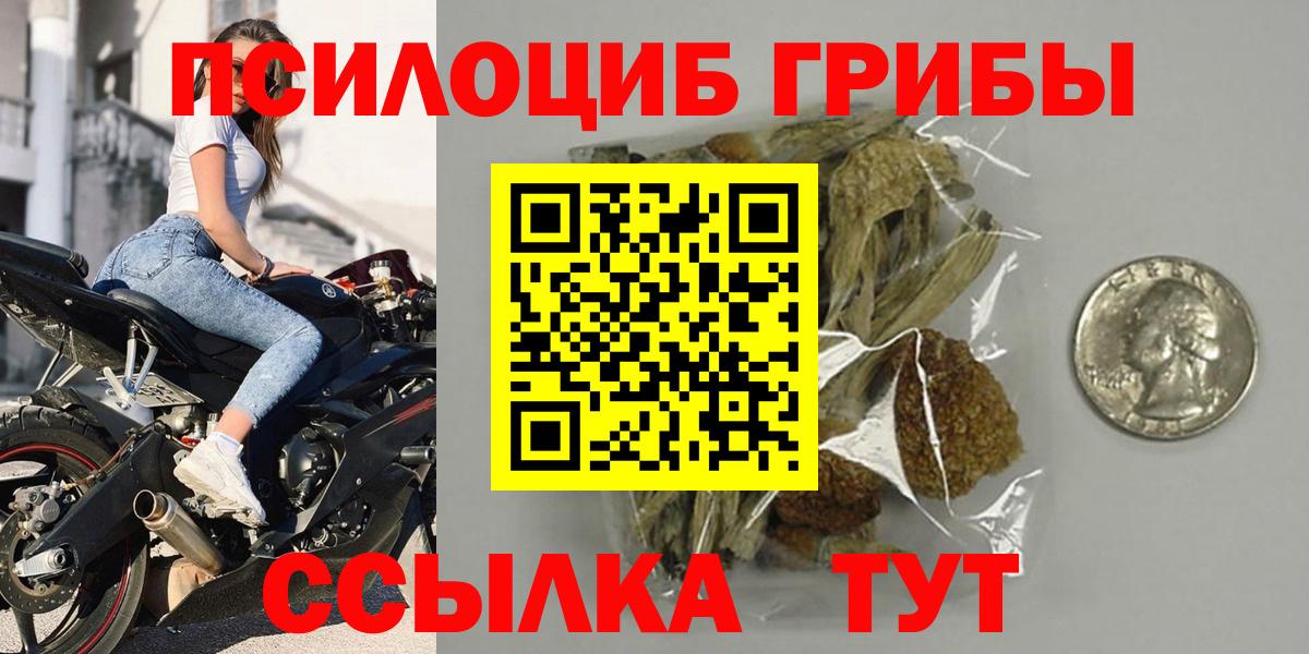 Псилоцибиновые грибы Cubensis  купить наркоту  Нижнекамск  Галлюциногенные грибы ЛСД  Вход с VPN 